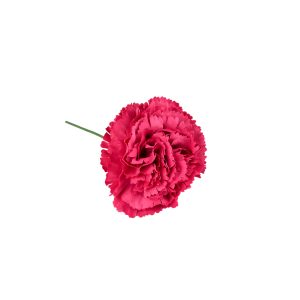 Clavel Flamenco