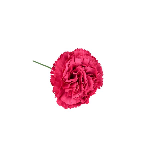 Clavel Flamenco