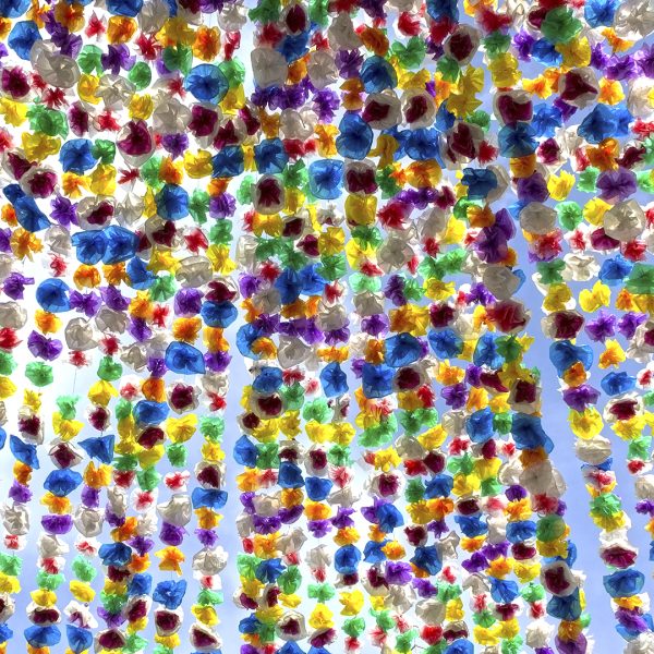 Flores de Papel - Imagen 4