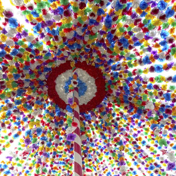 Flores de Papel - Imagen 3