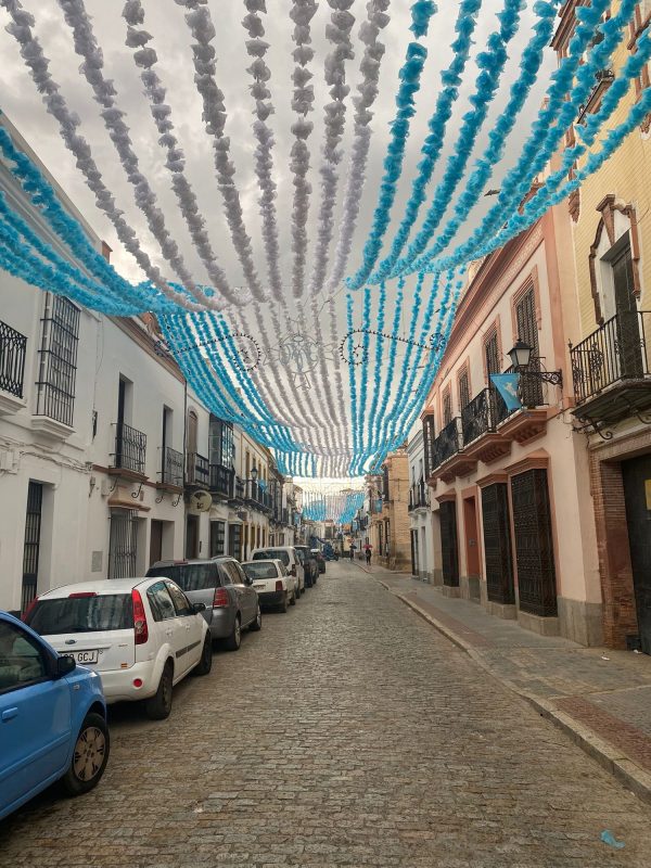 Flores de Papel - Imagen 5